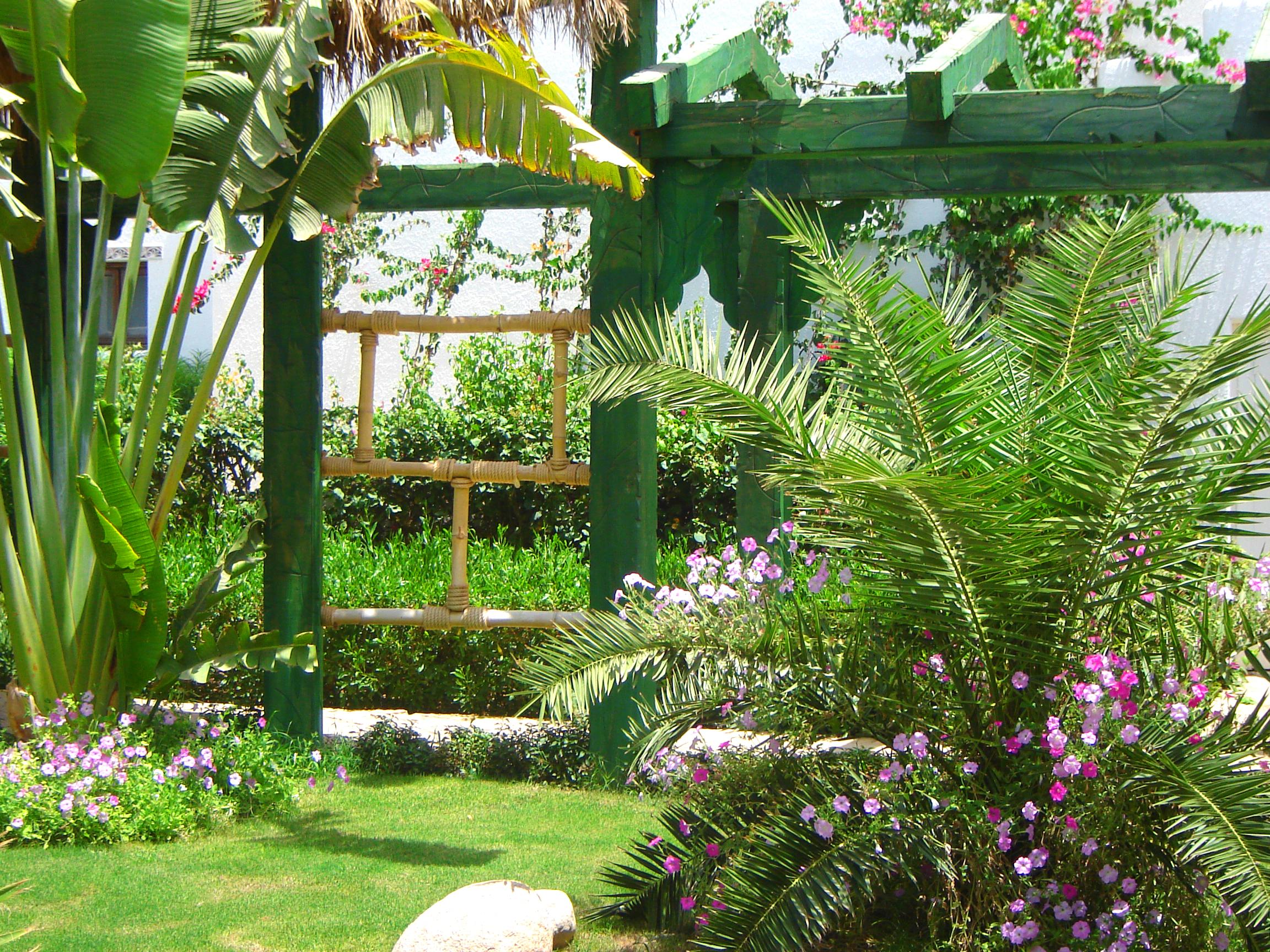 Delta Sharm Resort ,Official Web, Delta Rent, Sharm El Sheikh, South Sinai, Egypt Eksteriør billede